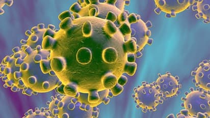 கொரோனா வைரஸால் இழப்பு... அரசு ஊழியர்களின் சம்பளம் குறைப்பு... முதல்வர் அதிரடி அறிவிப்பு!