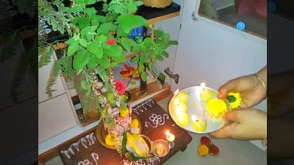 तुलसी की पूजा करने से घर में धन के साथ ही आती है शांति