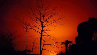 জলদাপাড়া অভয়ারণ্যে ভয়াবহ দাবানল, ভষ্মীভূত 'তোর্সার ঘাসবন'