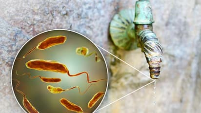 ಬೆಂಗ್ಳೂರಲ್ಲಿ ಕಾಲರಾ ರೋಗ ಪತ್ತೆ?