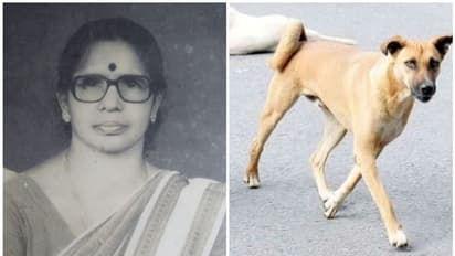 ആലപ്പുഴയില് മുന് പ്രധാനാധ്യാപിക തെരുവുനായയുടെ കടിയേറ്റ് മരിച്ചു