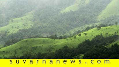 ರಾಜ್ಯದಲ್ಲಿ 30 ಲಕ್ಷಕ್ಕೂ ಹೆಚ್ಚು ಮರ ಹನನಕ್ಕೆ ಸಿದ್ಧತೆ!