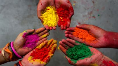 ঠিক যেন রাঙামাটির দেশ শান্তিনিকেতন, বসন্ত উৎসবে মেতেছে বেঙ্গালুরুবাসী বাঙালিরাও