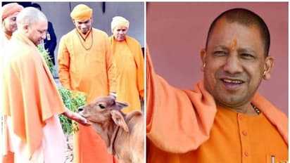 പശുക്കളെ ഉപദ്രവിക്കാന് അനുവദിക്കില്ലെന്ന് യോഗി ആദിത്യനാഥ്