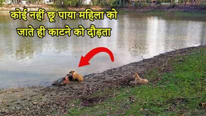 फटे कपड़ों में गीली मिट्टी पर सोई थी महिला, पास बैठा कुत्ता दांत निकालकर बैठा था, फिर...