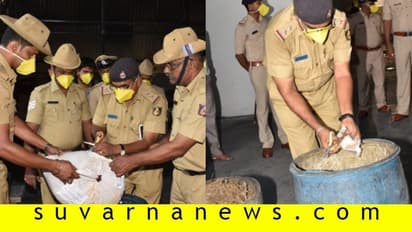 ಉಡುಪಿಯಲ್ಲಿ 32 ಕೆಜಿ ಗಾಂಜಾ ನಾಶ ಮಾಡಿದ ಪೊಲೀಸರು