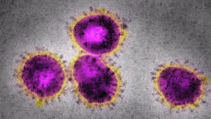 'രോഗലക്ഷണം ഉള്ളവർ പള്ളിയിൽ വരരുത്'; നിര്ദ്ദേശം നല്കി പാലാ രൂപത