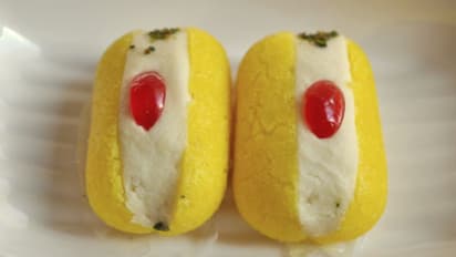 হোলি স্পেশাল রেসিপি, রঙের নেশায় মেতে উঠুন লোভনীয় এই মিষ্টির সঙ্গে