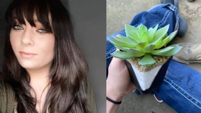 രണ്ട് വര്ഷമായി വെള്ളമൊഴിച്ച ചെടി പിഴുതുനോക്കിയപ്പോള് പ്ലാസ്റ്റിക്, വിശ്വസിക്കാനാകാതെ വീട്ടമ്മ