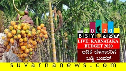 ಕರ್ನಾಟಕ ಬಜೆಟ್ 2020 : ಅಡಕೆ ಬೆಳೆಗಾರರಿಗೆ ಬಂಪರ್