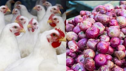 করোনা আতঙ্কে বিকোচ্ছে না মুরগী, ক্রেতার চোখ টানতে পেঁয়াজ ফ্রি