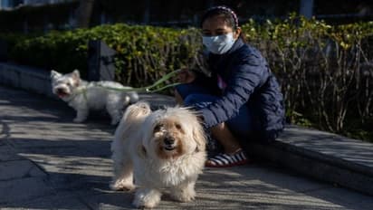 వాస్తు ప్రకారం ఇంట్లో ఏ జంతువులు పెంచుకోవాలో తెలుసా..?