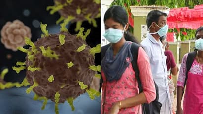 How did Kerala battle coronavirus and sail ahead smoothly?