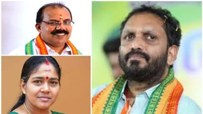 തമ്മിലടിയിൽ സമവായം; സുരേന്ദ്രൻ വിട്ടുവീഴ്ചക്ക്, എഎൻ രാധാകൃഷ്ണൻ കോര്കമ്മിറ്റിയിൽ