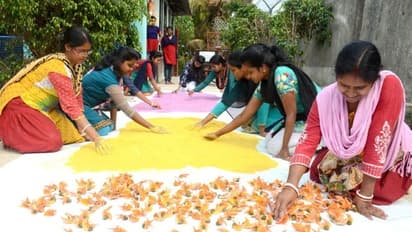 দোলে নকল হইতে সাবধান, কীভাবে চিনবেন ভেষজ আবির