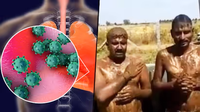 Coronavirus: Cow dung, urine bath leaves Karnataka duo feeling protected