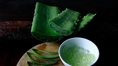 ಬೇಸಿಗೆಯಲಿ ಕಾಡುವ ಡಸ್ಟ್ ಅಲರ್ಜಿ... ಇಲ್ಲಿವೆ ಸೂಪರ್ ಟಿಪ್ಸ್