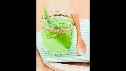 ರೋಗ ನಿರೋಧಕ ಶಕ್ತಿಗೆ 'ಅಲೋವೆರಾ ಜ್ಯೂಸ್' : ಮಾಡೋದ್ಹೀಗೆ?