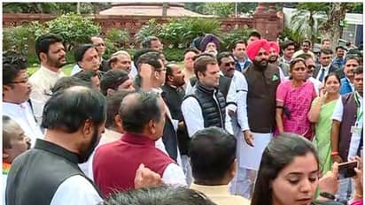 രാഹുലെത്തി: എംപിമാരുടെ സസ്പെൻഷനിൽ പാർലമെന്റിൽ പ്രതിഷേധം