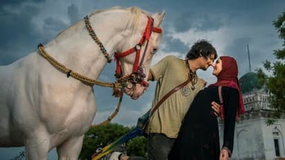 50 இடங்களில் வெட்டினாலும்... அசால்டாக ஜெயித்த "ஜிப்ஸி"... ட்விட்டரில் குவியும் பாராட்டுக்கள்...!