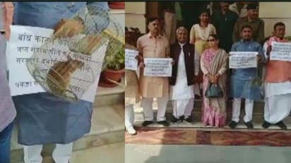 പ്രധാന ഫയലുകള് തിന്നുതീര്ക്കുന്നു; എംഎല്എമാര് നിയമസഭയില് എത്തിയത് എലിയുമായി!