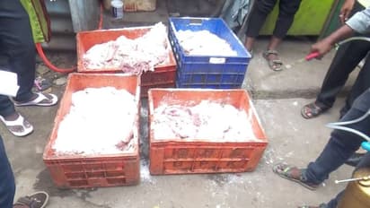 கெட்டுப்போன இறைச்சி அழுகிய நிலையில் பறிமுதல்..! ஆஹா ஒஹோன்னு சாப்பிடும் போது நினைவில் கொள்க..!