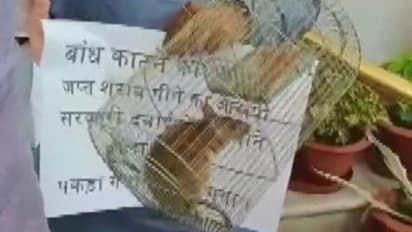 అన్నింటికి కారణం అవేనట: అందుకని ఎలుకలతో అసెంబ్లీకి