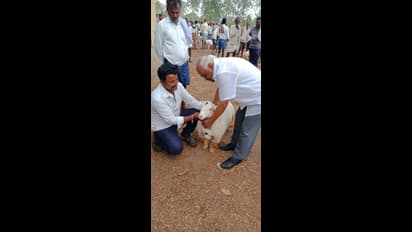 ಸಂತೆಯಲ್ಲಿ ಟಗರು ಮರಿ ಖರೀದಿಸಿದ ಮಾಜಿ ಸ್ಪೀಕರ್..!