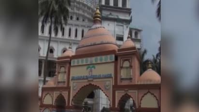 'অযথা আতঙ্কিত হবেন না', মায়াপুরে দোল উৎসবে মাতলেন চিনা পর্যটকরাও