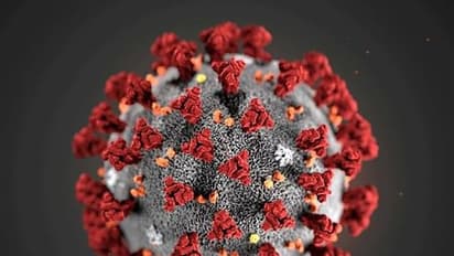 Fact Check: ಚೀನಾದಲ್ಲಿ ಸತ್ತ ಮನುಷ್ಯರನ್ನೇ ಕತ್ತರಿಸಿ ಬೀಫ್ ಎಂದು ಮಾರಾಟ!