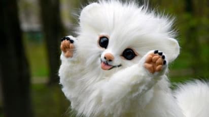 പ്രിയപ്പെട്ട വളർത്തു നായകൾക്ക് 'എസി മുറി'; 34,465 യൂണിറ്റ് വൈദ്യുതി മോഷ്ടിച്ച് ഉടമ, ഒടുവിൽ 7 ലക്ഷം രൂപ പിഴ!