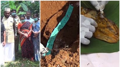 കുഞ്ഞിനെ കൊന്ന് കുഴിച്ചുമൂടിയെന്ന് സംശയം; പള്ളിശ്മശാനത്തിലെ കുഴിമാന്തിയപ്പോള്‍ വെള്ളരിക്ക!!