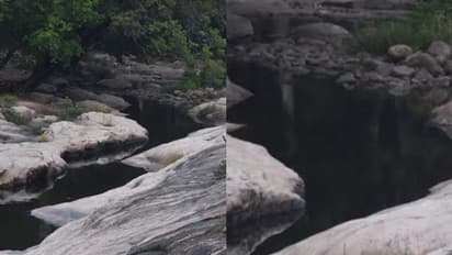 കത്തുന്ന വേനലില്‍ വന്യജീവികളുടെ ഏക ആശ്രയം; മാലിന്യമില്ലാതെ ശുദ്ധമായി ഒഴുകി ചിന്നാര്‍പുഴ