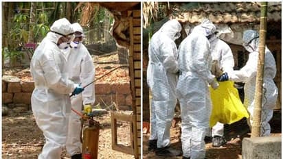 പക്ഷിപ്പനി: കോഴിക്കോട്ട് ഇന്ന് 1700 പക്ഷികളെ കൊന്നു, നാളെയും തുടരും