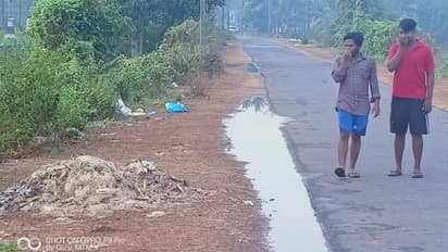 റോഡുകളില്‍ കുന്നുകൂടി മാലിന്യങ്ങള്‍; നടപടിയെടുക്കാത്തതില്‍ പ്രതിഷേധം ശക്തമാക്കി ഹരിപ്പാട് നിവാസികൾ