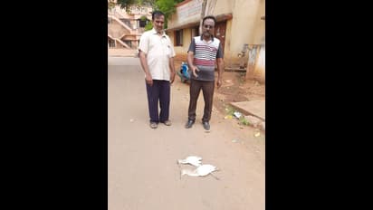 ಕೊರೋನಾ ಬೆನ್ನಲ್ಲೇ ಹಕ್ಕಿ ಜ್ವರ ಭೀತಿ: ಕೊಕ್ಕರೆಗಳ ಸಾಮೂಹಿಕ ಸಾವು