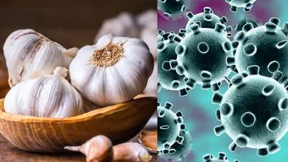 കൊവിഡ് 19; വെളുത്തുള്ളിയും ചൂടുവെള്ളവും വെെറസിനെ ഇല്ലാതാക്കുമെന്നത് മണ്ടത്തരം; ലോകാരോഗ്യ സംഘടന രംഗത്ത്