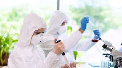 ಹಾಸನದಲ್ಲಿ ಕೊರೋನಾ ವೈರಸ್‌ ಪತ್ತೆ ಕೇಂದ್ರ