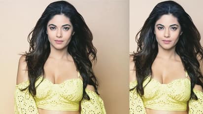 ধর্ষণের অভিযোগ থেকে খুনের হুমকি, প্রিয়ঙ্কার বোন মীরার উত্তরে তোলপাড় নেটদুনিয়া