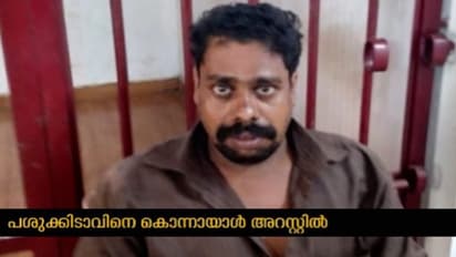 പശുക്കിടാവിനെ പ്രകൃതിവിരുദ്ധ പീഡനത്തിരയാക്കി കൊന്നു; കണ്ണൂരില്‍ യുവാവ് അറസ്റ്റില്‍