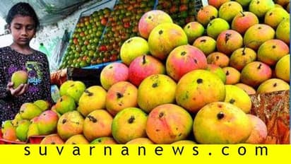 1 ಡಜನ್ ಆಲ್ಫಾನ್ಸೋ ಮಾವಿನ ದರ 1 ಸಾವಿರ ರೂ.: ಹೌಹಾರಿದ ಗ್ರಾಹಕ!