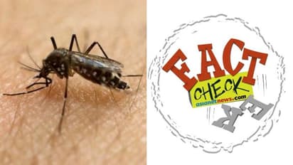 കൊവിഡ് 19 കൊതുകിലൂടെ പകരുമോ; ലോകാരോഗ്യസംഘടന പറയുന്നത്