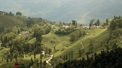 পকেটে টান,  ৫০০০ টাকার থেকে কম খরচেও দার্জিলিং ভ্রমণ, রইল বিস্তারিত তথ্য