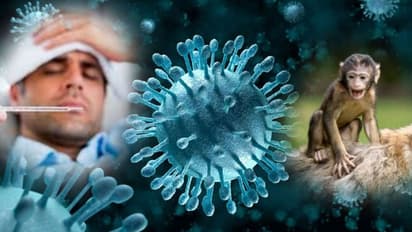 ಶಂಕಿತ ಕೆಎಫ್‌ಡಿಗೆ ಮತ್ತೊಂದು ಬಲಿ :  ನಾಲ್ಕೂವರೆ ವರ್ಷದ ಮಗುವಿಗೂ ಸೋಂಕು