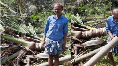 ತುಮಕೂರಿನಲ್ಲೇ ಮತ್ತೊಂದು ಕೇಸ್  : ಅಧಿಕಾರಿಗಳ ಎದುರೇ ನೂರಾರು ಮರಗಳ ಮಾರಣಹೋಮ