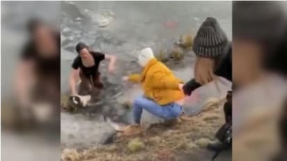 മഞ്ഞ് തടാകത്തിൽ അകപ്പെട്ട് നായ; സാഹസികമായി രക്ഷിച്ച് യുവതി: കയ്യടിച്ച് സോഷ്യൽ മീഡിയ-വീഡിയോ