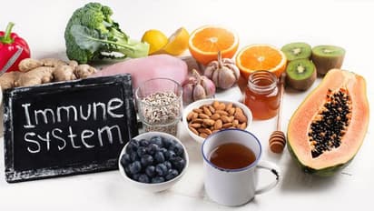 കൊവിഡ് 19; പ്രതിരോധ ശേഷി കൂട്ടാൻ നാല് ഭക്ഷണങ്ങൾ കഴിക്കാം