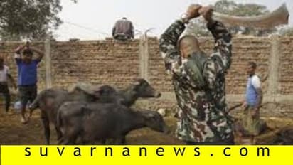 ಕೋಣ ಬಲಿಗೆ ಅಧಿಕಾರಿಗಳ ತಡೆ: ಭಕ್ತರ ಹಟ, ದೇಗುಲಕ್ಕೆ ಬೀಗ