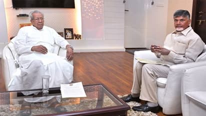 ప్రజలే వైసిపి నాయకుల్ని పిచ్చికుక్కల్లా కొడతారు...ఆరోజు దగ్గర్లోనే: చంద్రబాబు