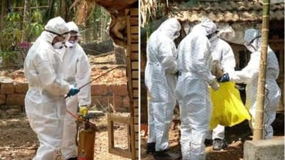 പക്ഷിപ്പനി; കൊടിയത്തൂര്, വേങ്ങേരി എന്നിവിടങ്ങളില് പക്ഷികളെ വില്ക്കുന്നതിനും കൊണ്ടുപോകുന്നതിനും വിലക്ക്